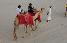 Doha Half Day Safari Dune bashing/Camel Ride/sandboard