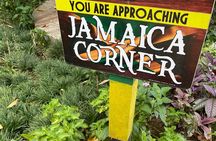 Exotic Ocho Rios Historical Sightseeing Tour