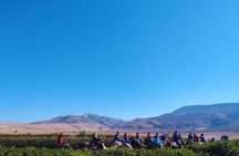  1 Day Tour-Best of the Atlas Mountains &Three Valleys