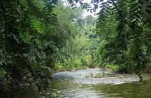 30 Minutes Khaolak ATV Quadbike & Waterfall Adventure