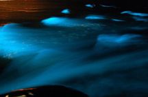 Exotic River Rafting and Luminous Lagoon Adventure