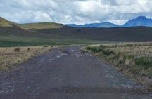 Private Excursion to Antisana Ecological Reserve