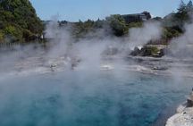 Tauranga Shore Excursion: Rotorua Highlights