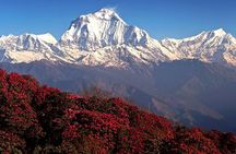 10 Days Private Guided Annapurna Basecamp Trek via Poon Hill 