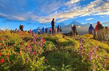 10 Days Private Guided Annapurna Basecamp Trek via Poon Hill 