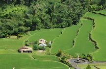 Bali Full-Day Car Charter: Beauty of North Bali Tour