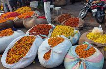 Jaipur By Dawn (Walking & E-Rickshaw)-A Morning of Culture & Calm