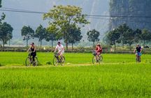 3-Day Ninh Binh trip Halong-LanHa Bay Cruise 5 Star with balcony 