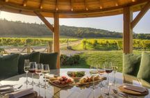 Romantic Surrey Experience with Scenic Views & Wine Tasting