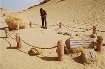 From Cairo to Whales Valley and Wadi El Rayan Waterfalls