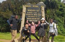 Private Kilimanjaro Day Hike to Marangu Route's Mandara Hut