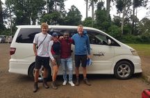 Private Kilimanjaro Day Hike to Marangu Route's Mandara Hut