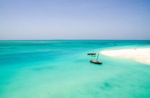 A Half Day Private Dolphins And Snorkeling Tour To Mnemba Island