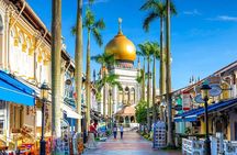 Half Day Private Guided Tour through Singapore's Iconic Landmarks
