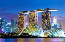 Half Day Private Guided Tour through Singapore's Iconic Landmarks