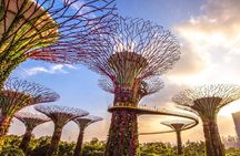 Half Day Private Guided Tour through Singapore's Iconic Landmarks