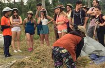 HALO BIKE Downhill Bali Countryside Cycling Tour