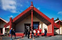 Tauranga Shore Excursion: Rotorua Highlights