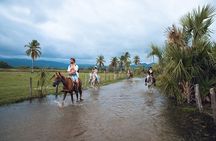 River Trail Horseback Riding Adventure
