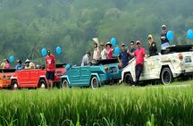 Bali Volkswagen Classic Car: The Gates of Heaven Tour