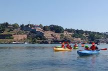 Self-guided kayak tour in Belgrade 