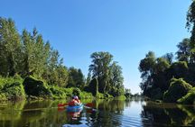 Self-guided kayak tour in Belgrade 