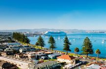 Tauranga Shore Excursion: Small-Group Bay of Plenty and Tauranga Tour