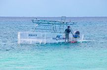 Clear Boat Adventure to Shipwrecks and Snorkel