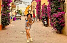 Private Mexico City Wine Tour: Hidden Valley Vineyards