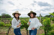 Private Mexico City Wine Tour: Hidden Valley Vineyards