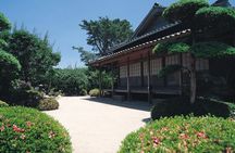 1 Day Tour to Ibusuki Chiran with English Speaking Guide
