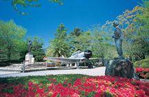 1 Day Tour to Ibusuki Chiran with English Speaking Guide