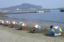 Kagoshima: Ibusuki Scenic Train & Sand Bath One-Day Tour