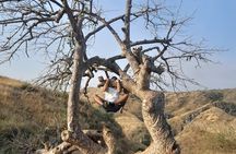 9 Days North and Southern Angola Tour