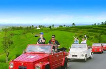 Jatiluwih VW Safari Bali Tour - Volkswagen Classic Car Trip