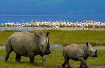 2-Day Private Safari to Lake Nakuru and Hell's Gate Parks