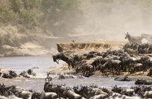 2 Days Private Safari To Maasai Mara National Reserve