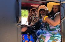 Port Elizabeth Adventure: Tuk-Tuk, Penguins, & Cape Recife
