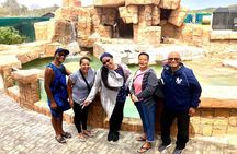 Port Elizabeth Adventure: Tuk-Tuk, Penguins, & Cape Recife
