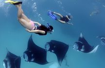 West Nusa Penida Island Snorkeling Tour - From Bali Island
