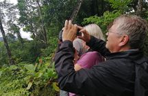 3 days Jungle Tour Expedition Amazonia in Ecuador rainforest