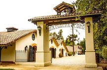 Shell and bull vineyard New experience