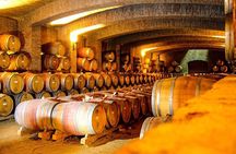 Concha y Toro Premium Sensory