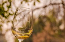 Shell and bull vineyard New experience