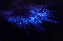 Double Kayak Bioluminescence Tour in Costa Rica