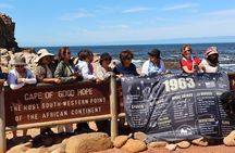 Cape Town: Cape of Good Hope, Table Mountain & Wine Tasting Tour 
