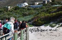 Cape Town: Cape of Good Hope, Table Mountain & Wine Tasting Tour 