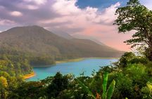Amazing Bali Dolphin Watching Trip Experience