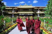 Private Guided Dharamshala Tour with Scenic Views & Lunch