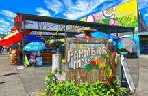 Hilo highlights, waterfalls and beaches, private, costum Tour